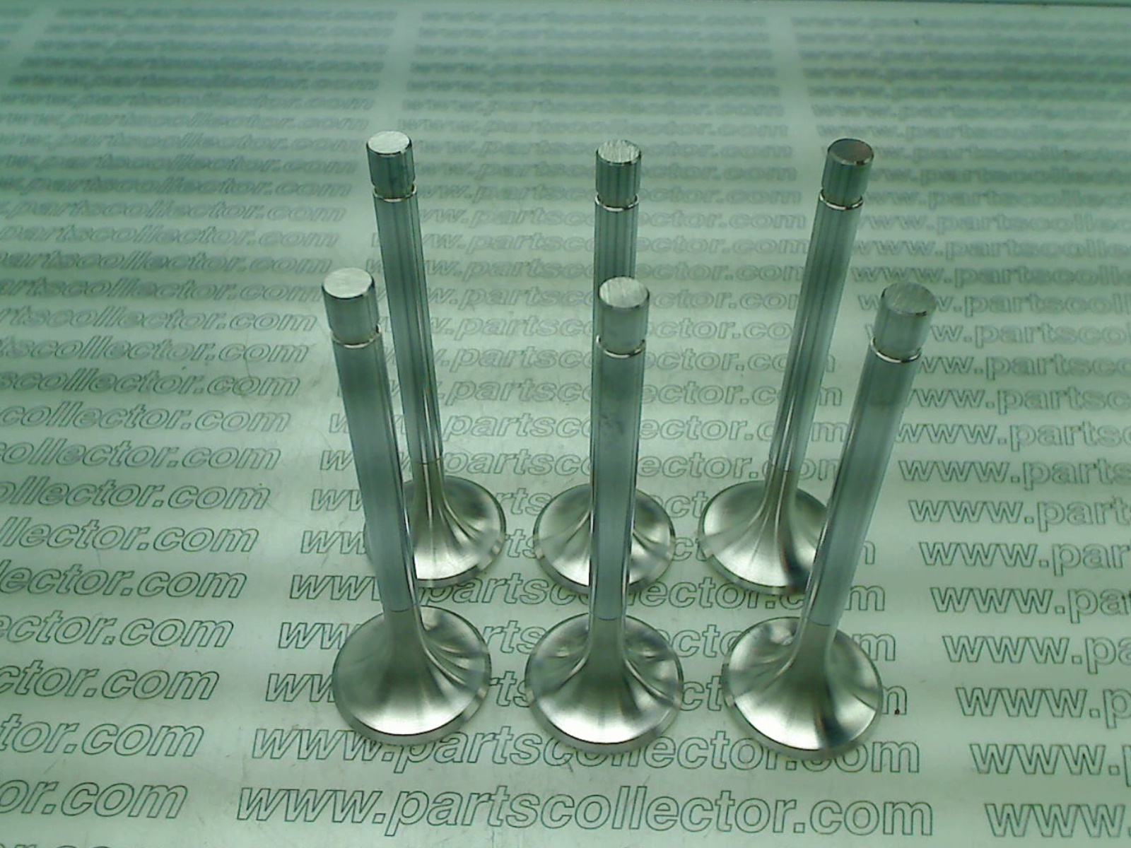 EXHAUST VALVE SET